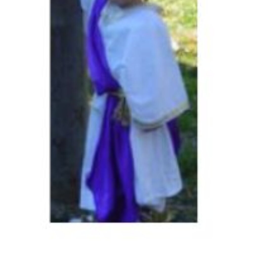 Caesar Costume Handmade 2T